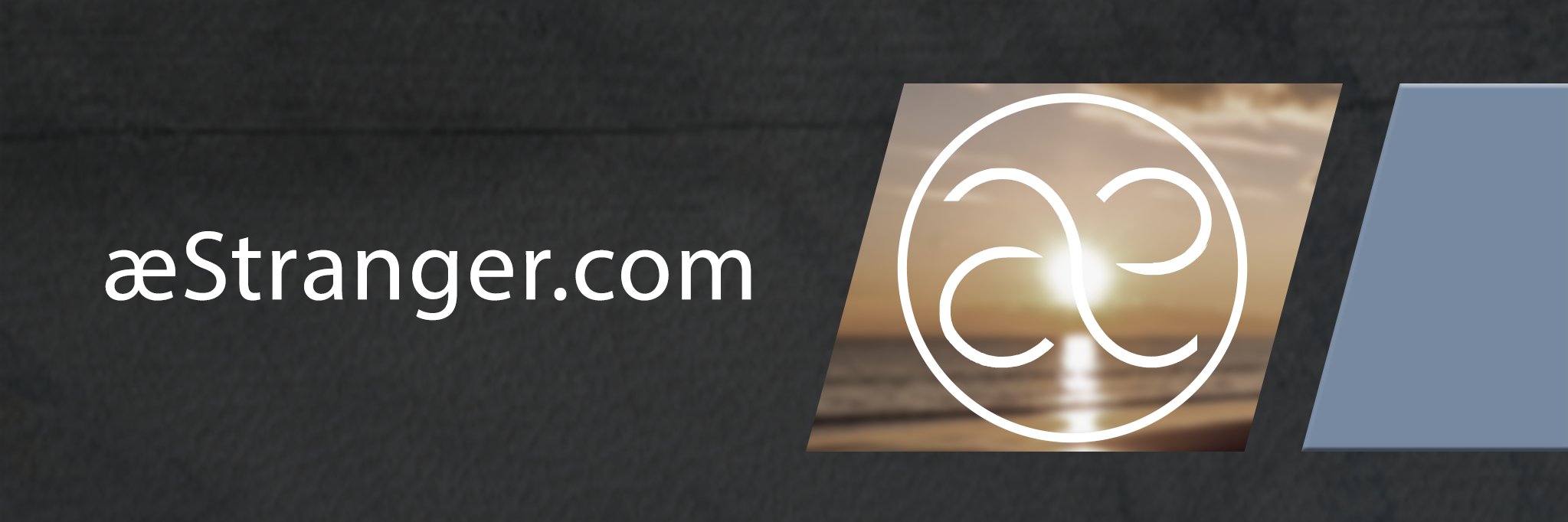 Albert van der Meer banner