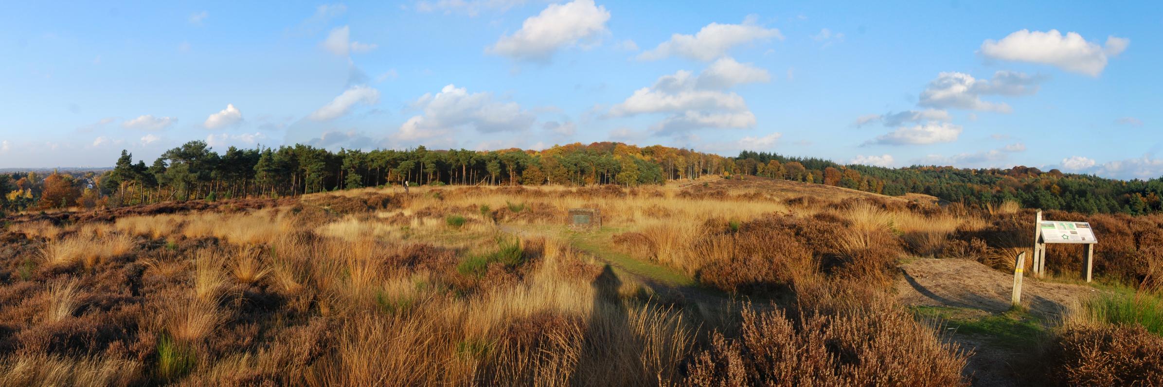 GJWIENHOVEN's profile banner image