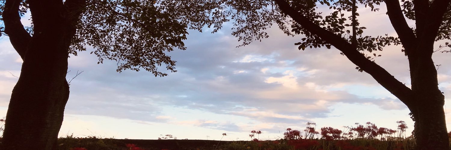aly1117's profile banner image