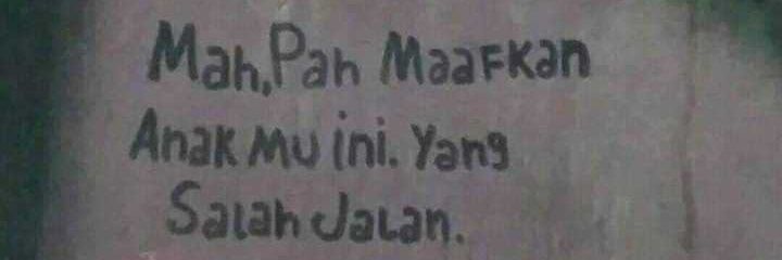 wang xi na wang banner