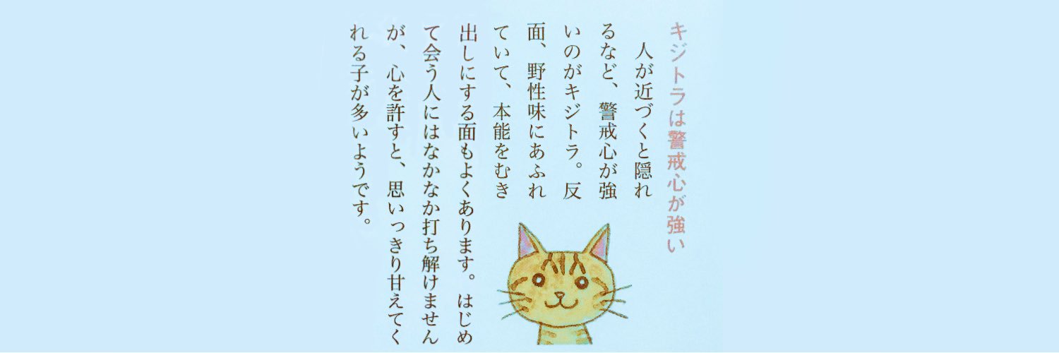 kijitora_trsm's profile banner image