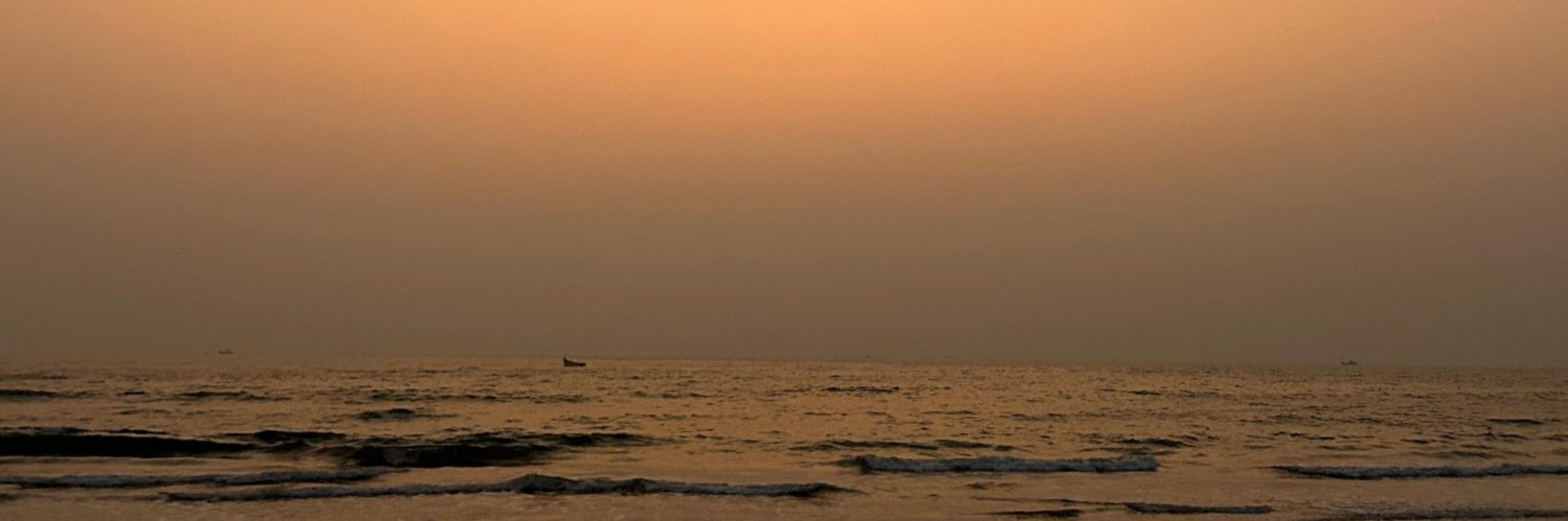 dittokaur's profile banner image