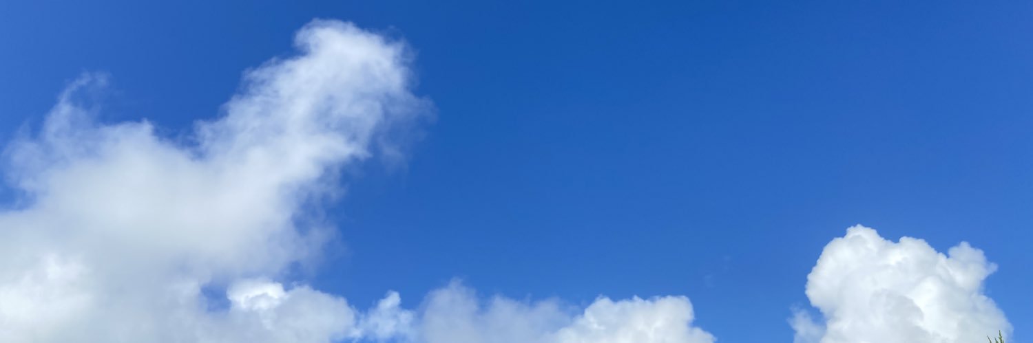 tekokosan's profile banner image