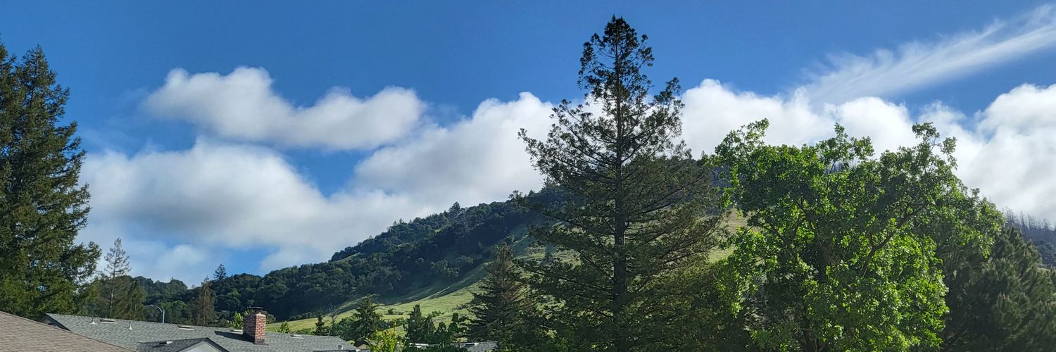 Sashi Sabaratnam banner