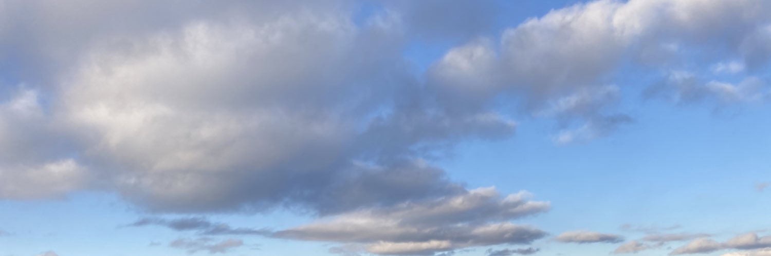 しゅぷら's banner