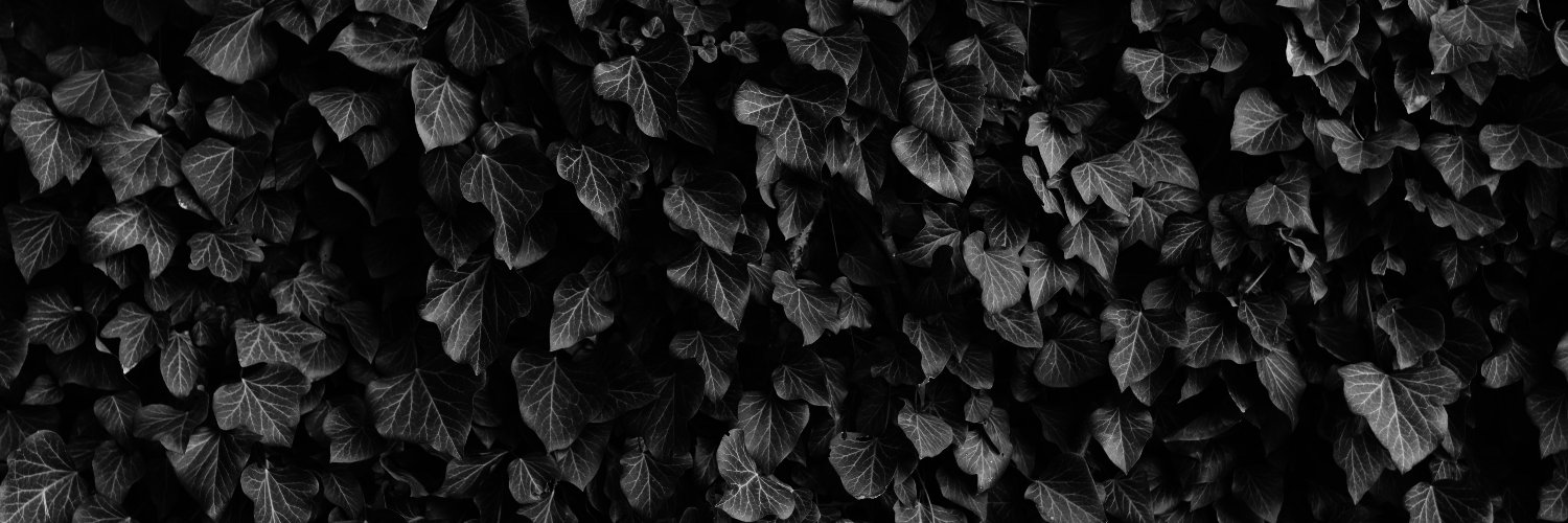 Slashkun0's profile banner image