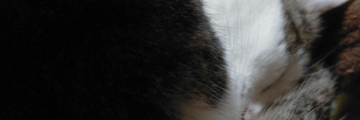 jake5320's profile banner image