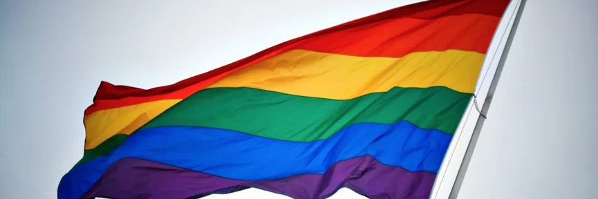 Orgull Vallenc banner