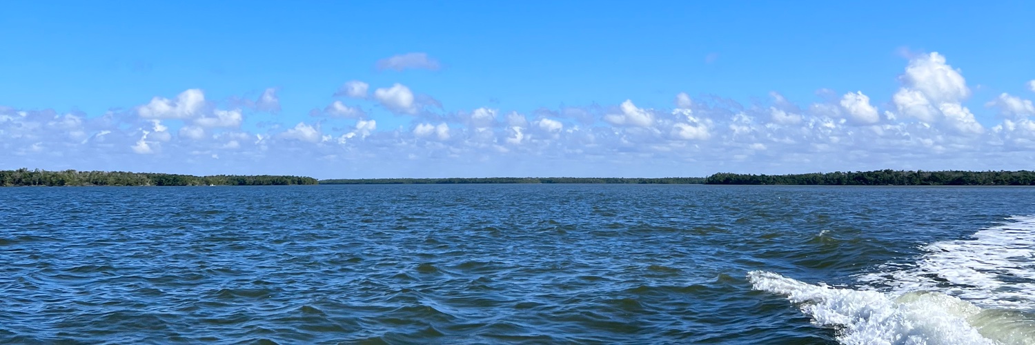 mildwonkey's profile banner image