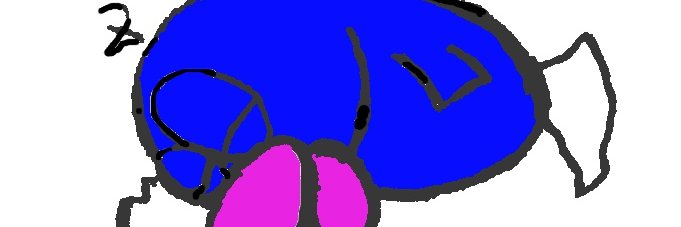 flingfish's profile banner image