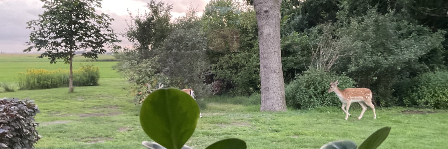 Tiety Lindeboom 🍃 banner