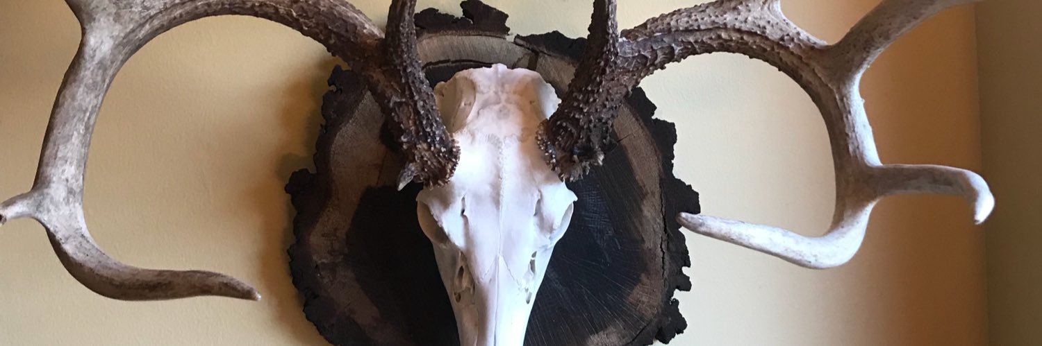 Allen Geyer CCA banner