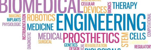 UdGEngBiomed Profile Banner