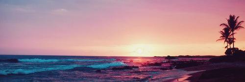 ms_patrickstar's profile banner image