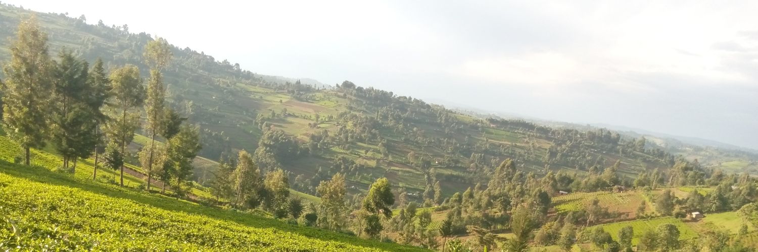 ARONNGEN0's profile banner image