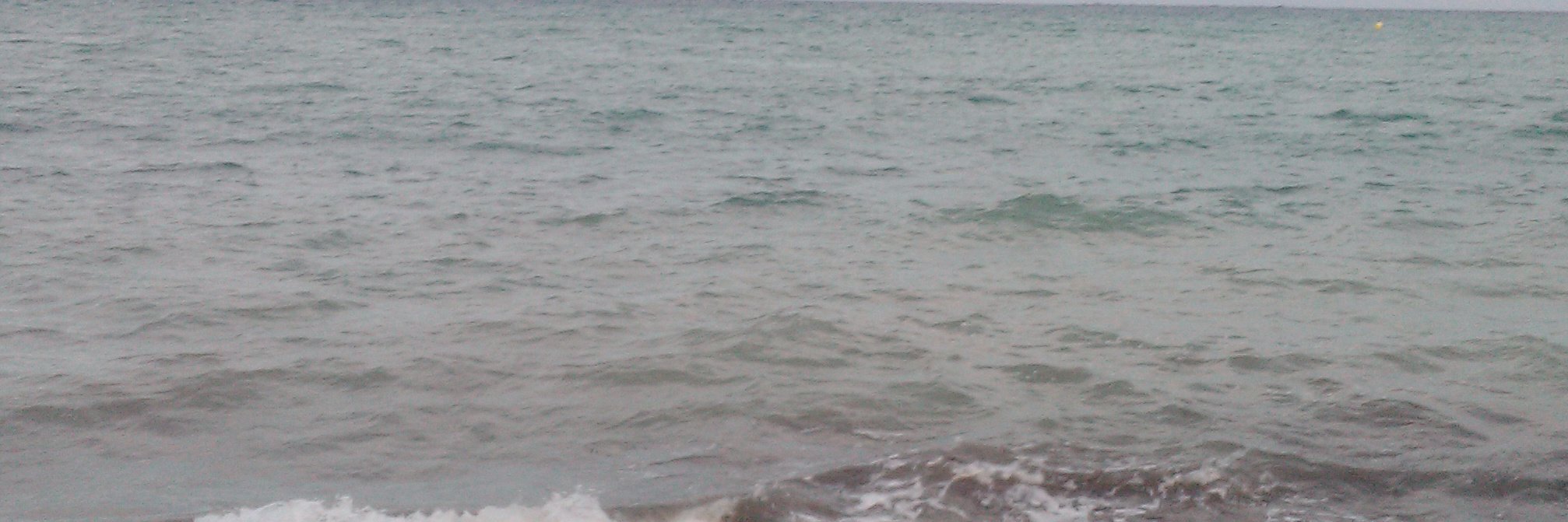 Florent Empis banner