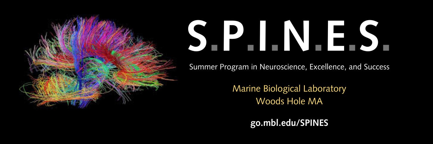 SPINES program at the MBL 🧠 banner
