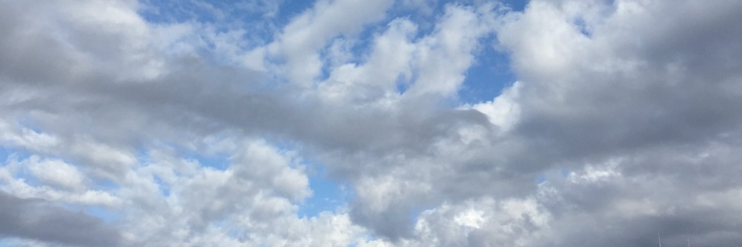 Tikoneko's profile banner image