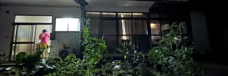 tadao0831's profile banner image