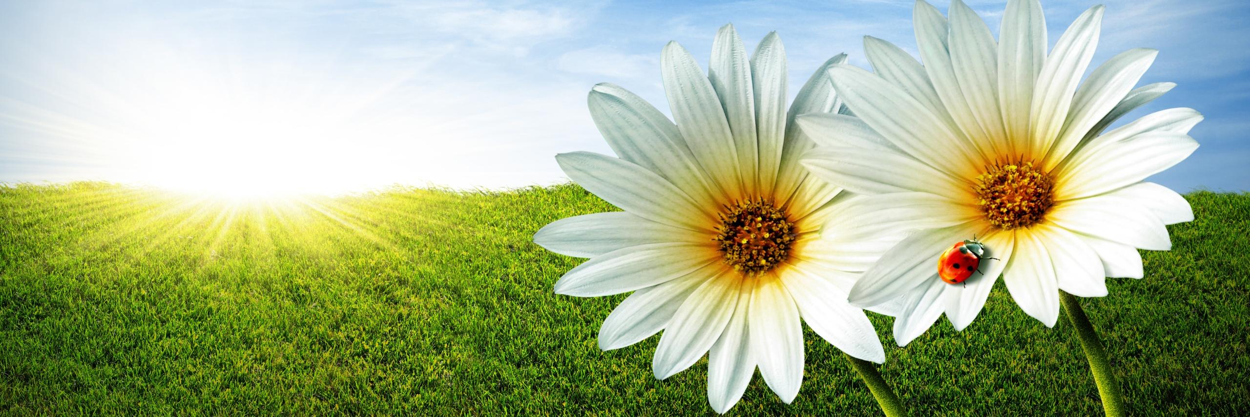 Stretton C E Academy banner