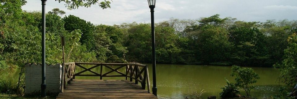 Robert Octavo banner