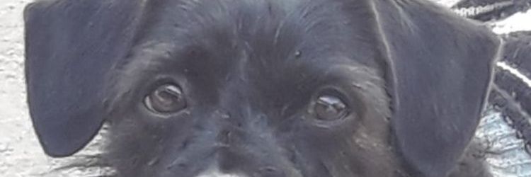 Маrco banner