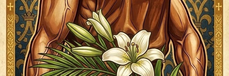 catolicoaudaz's profile banner image