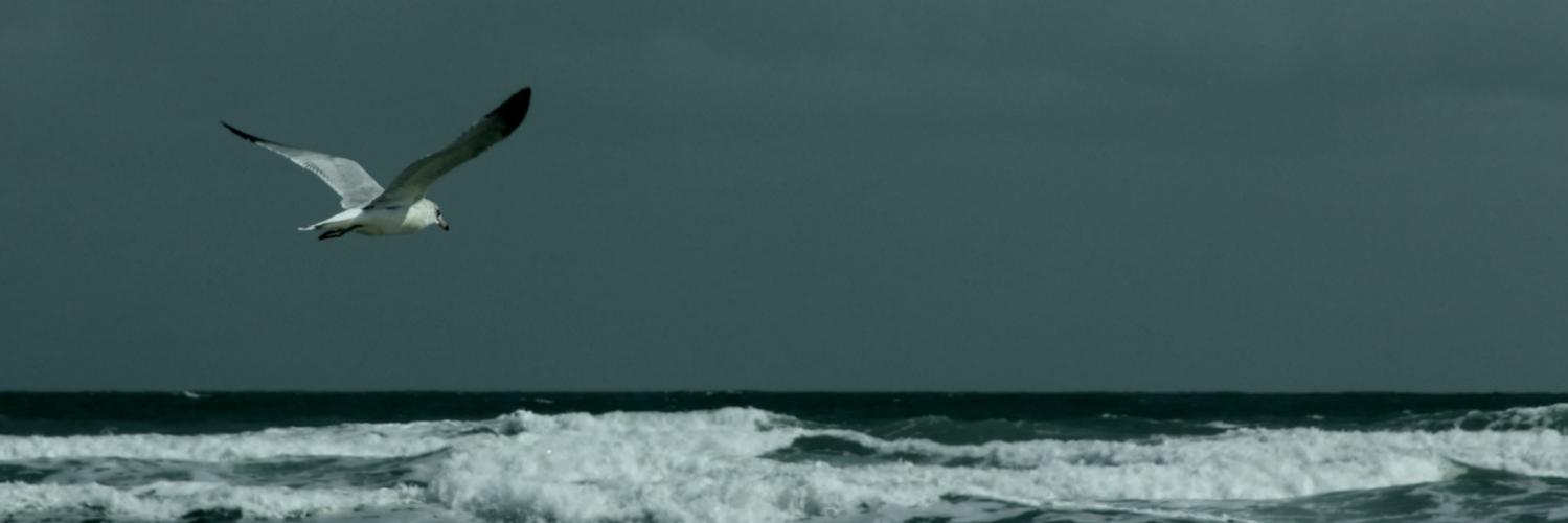 asmistaken's banner