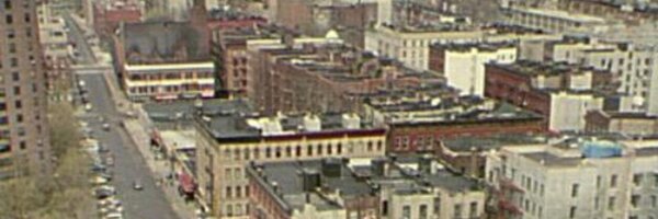 the gaile t. brown from the south bronx banner