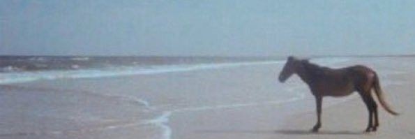 NatalyTobar2's profile banner image