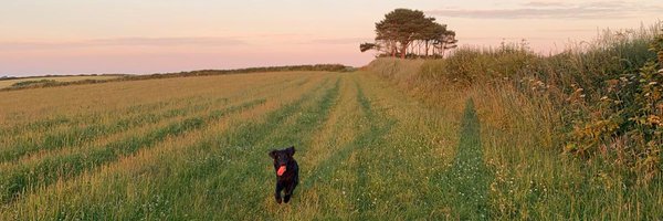 ZeroFNT Profile Banner