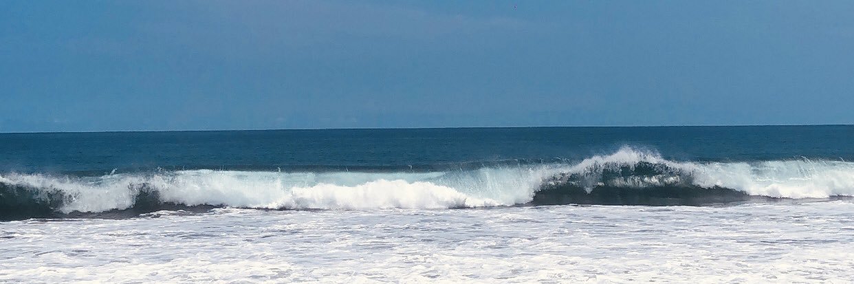 🌊's banner