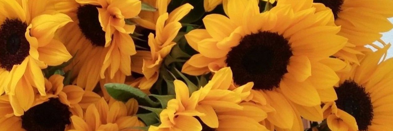 elisabethprzc's profile banner image