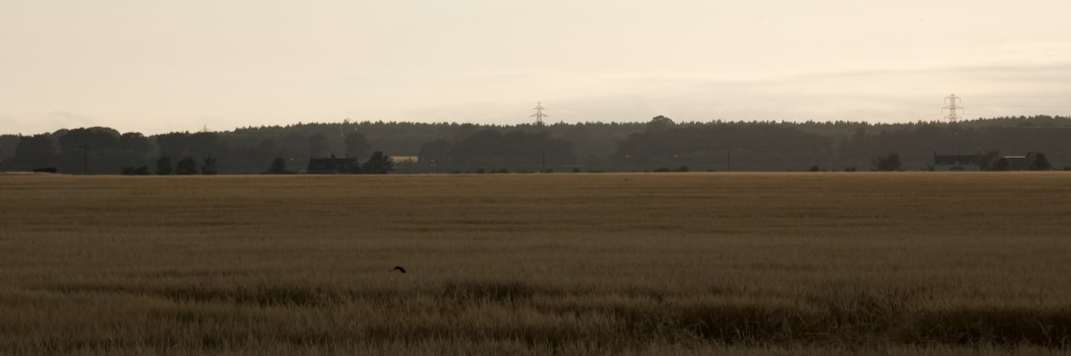 jonnoelliott1's profile banner image