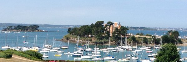 BFleurot Profile Banner