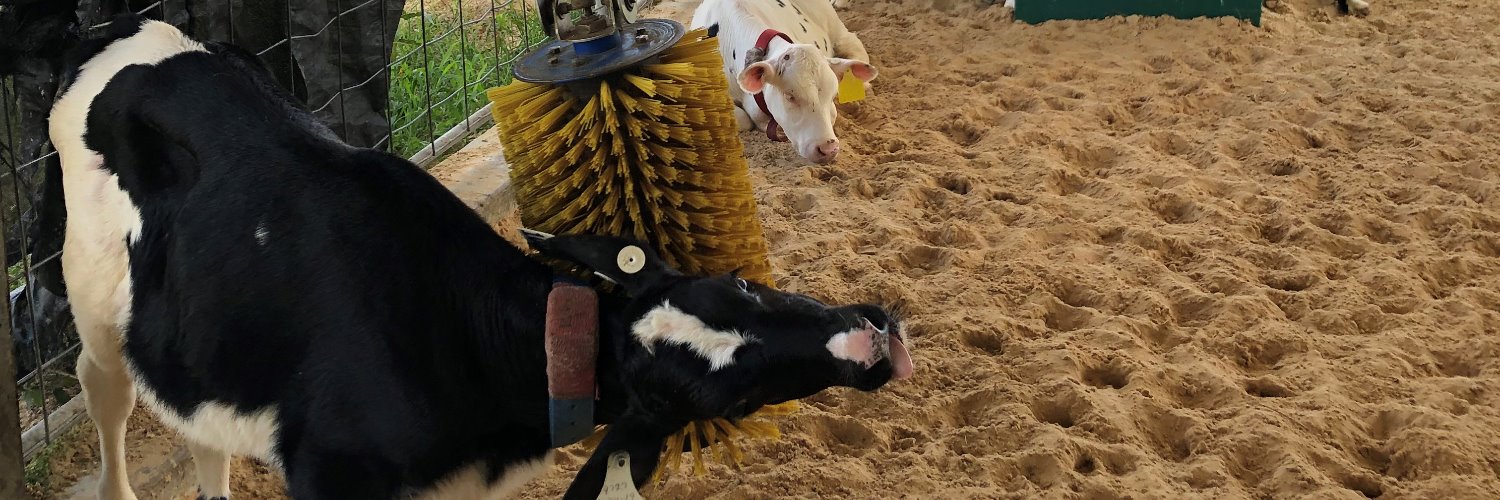 Katie Gingerich banner