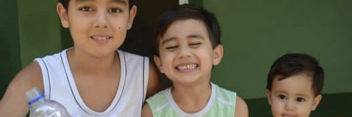 dantas VET ELETRO banner