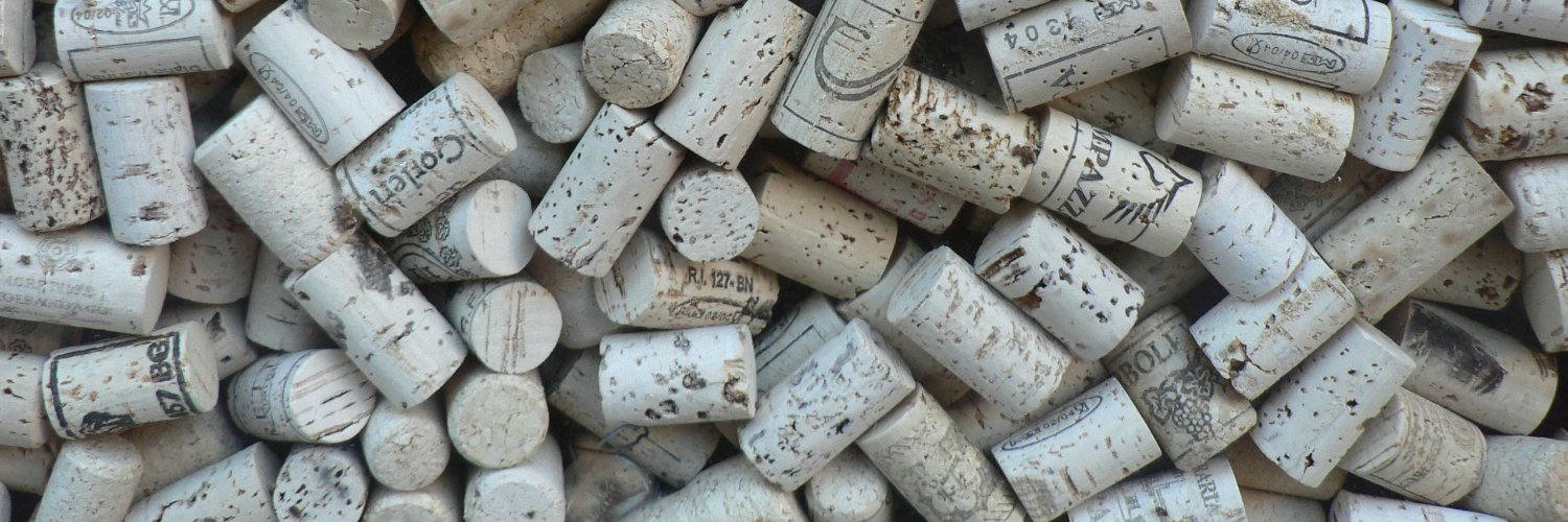 Vinos Para México banner