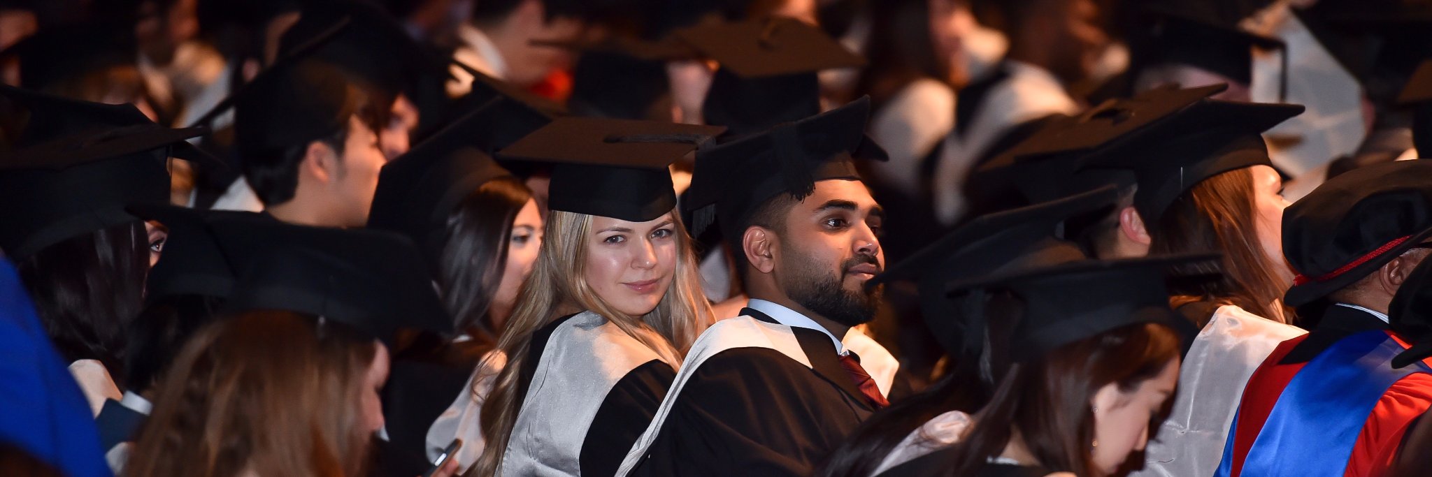 SussexGrad's profile banner image