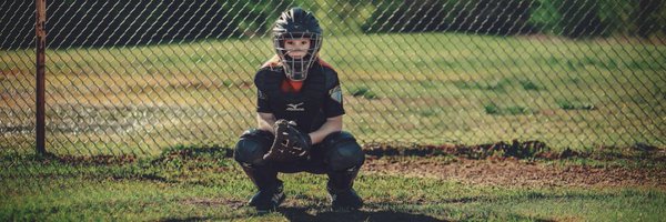 softballtigger Profile Banner