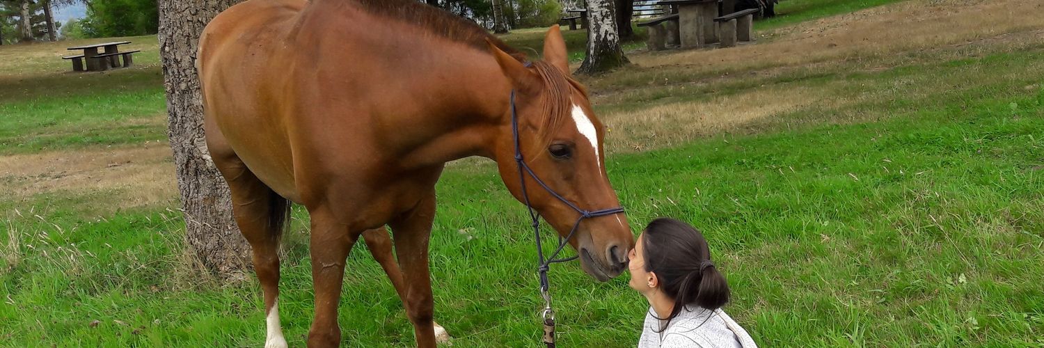LariLara5's profile banner image