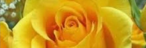 AlineEPreto's profile banner image