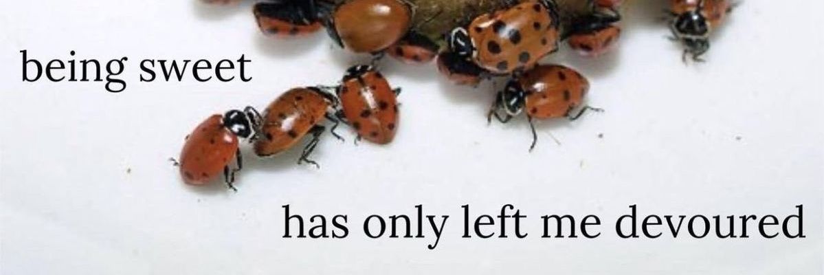 lavender menace banner