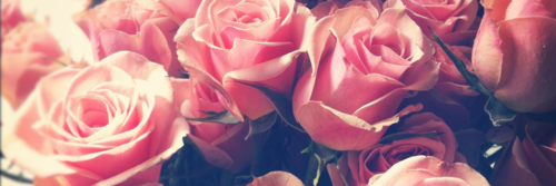 He_L_eN's profile banner image