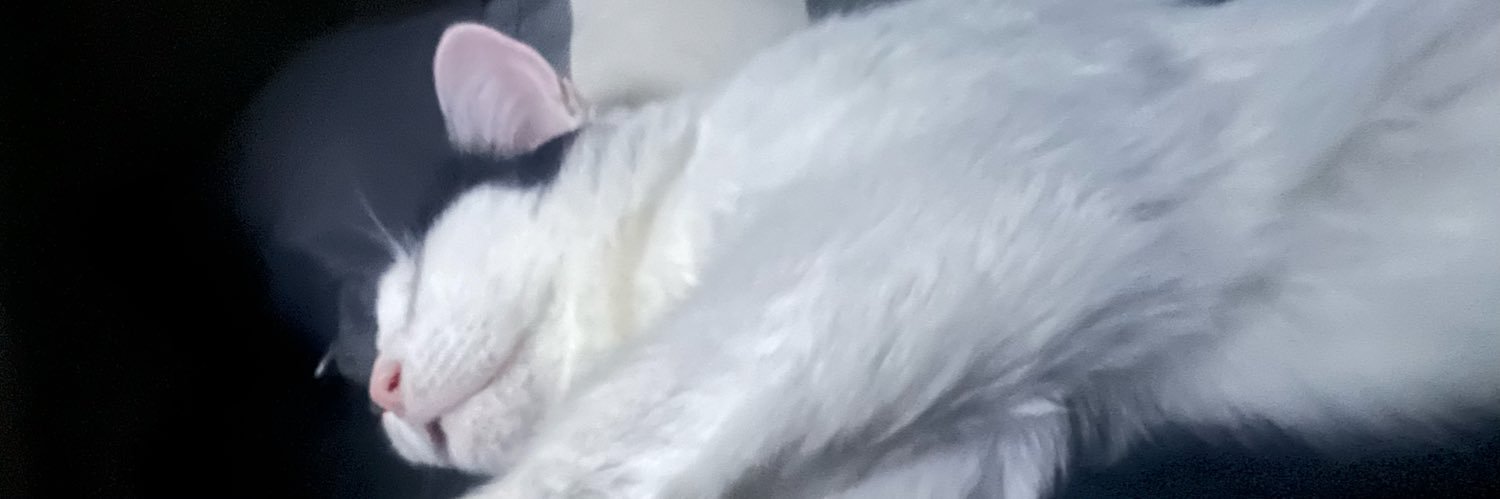 bemmememem's profile banner image
