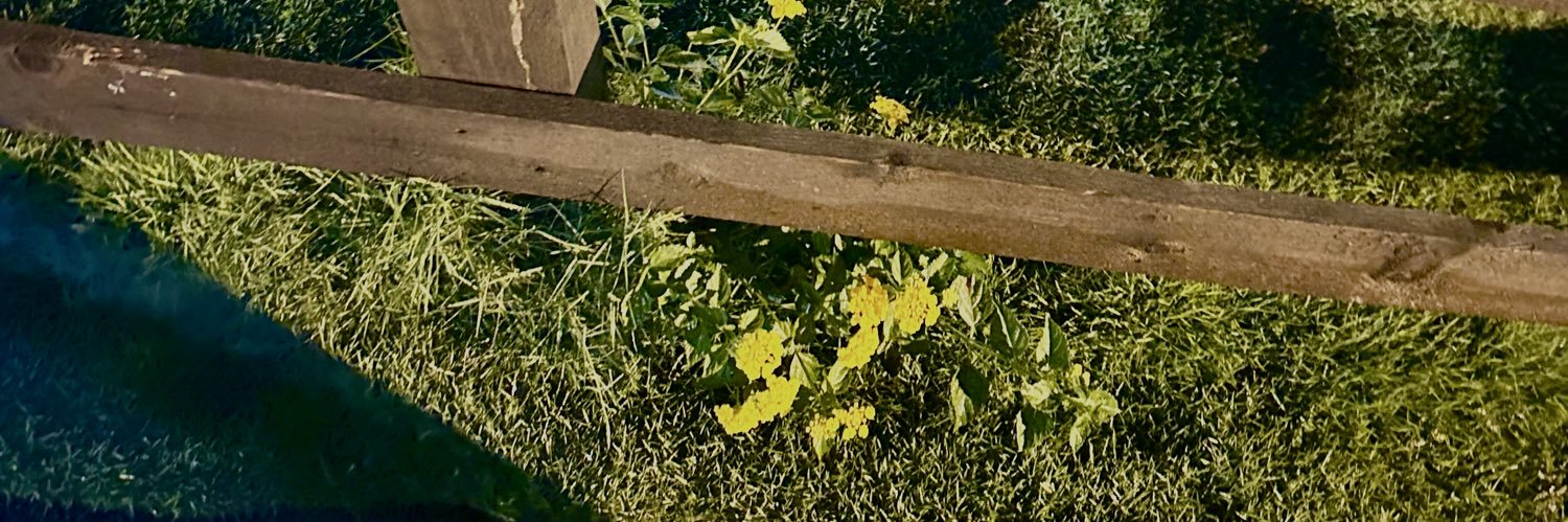 𓇢𓆸 banner