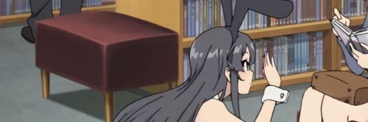 prettyfokenwise's profile banner image