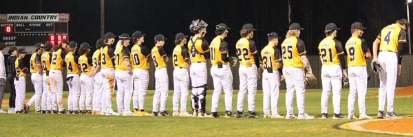 IAHS Baseball Profile Banner