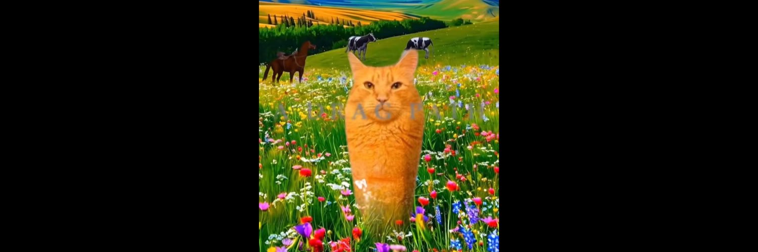 basil 🥖 teto slop enjoyer banner