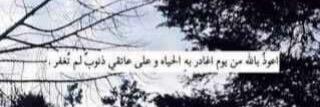 ssamii994's profile banner image